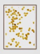 <p>米尔科&middot;巴泽吉亚，<em>decumposiziun III</em>，2023，纸本鼠李浆果墨水，35 x 25 cm（带框）</p>
