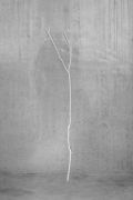 <p>诺特&middot;维塔尔，<em>Nothing</em>，2012，铸铜，白色铜锈，360 x 70 x 30 cm</p>
