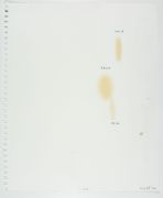 <p>诺特&middot;维塔尔，<em>Pain, Pain, Pain</em>，2019，纸上硅胶贴片，铅笔，43.2 x 53.6 cm</p>
