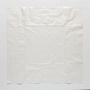 <p>米歇尔&middot;孔德，<em>影子</em>，2018，纯净水，手工生宣，66 x 66 cm</p>
