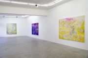 <p>展览现场，<em>WILD IS THE WIND</em>，麦勒画廊 北京-卢森，瑞士卢森，2019年2月14日 &ndash; 3月30日</p>
