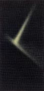 <p>李钢，<em>光&mdash;&mdash;记</em>，2010，透明胶带，亚克力板，12张122 x 60 cm，总体244 x 360 cm，局部</p>
