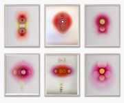 <p>塔尼娅&middot;戈埃尔</p>

<p><em>6 PM Rose, Bud + Dried Petals</em>, 2022 (Pairings Rose)<br />
<em>2 - 4 PM Rose Bud + Leaves</em><br />
<em>Pink Rose 1PM</em><br />
<em>Pink Magenta Rose (Midday)</em><br />
<em>11.44 AM Red + Pink Rose</em><br />
<em>11.11 Pink Rose Centre</em><br />
阿诗纸上水粉和矿物颜料</p>

<p>每件45.72 x 38.1 cm，51.3 x 43.7 x 2.5 cm (带框)</p>
