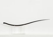 <p>Shao Fan,&nbsp;<em>Ming Beard - 2006, No.5,</em> 2006, red sandal wood, 43 x 152 x 12 cm</p>
