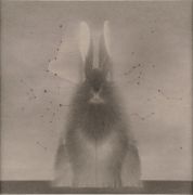 <p>Shao Fan, <em>In the Name of Rabbit 121</em>, 2020, ink on rice paper, 175 x 175 cm</p>
