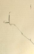 <p>Shan Fan, <em>Painting the Moment (Malerei des Augenblicks)&nbsp;</em>(No. 20),&nbsp;2006-2008, ink on rice paper, 78 x 48 cm</p>
