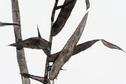 <p>Shan Fan, <em>Painting Slowness (7 Gelehrte, Malerei der Langsamkeit) 145 Hours&nbsp;</em>(detail),&nbsp;2012, oil on canvas, 180 x 230 cm</p>
