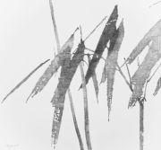 <p>Shan Fan, <em>Painting Slowness (Malerei der Langsamkeit) 93 Hours</em>,&nbsp;2015, pencil on canvas, 180 &times; 200 cm</p>
