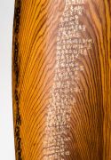 <p>Shan Fan, <em>Meine Fl&uuml;ge, Meine Last&nbsp;</em>(detail),&nbsp;2012, propeller blade in wood, 138 x 40 cm</p>
