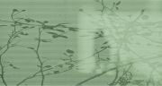 <p>乌尔斯&middot;吕蒂，<em>Selfportrait (Transmission Error III / Nr. 7)</em>，2022，艺术微喷，树脂玻璃，铝板，独版，159 x 299 x 5 cm</p>
