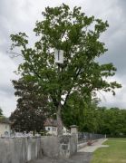 <p>Lang/Baumann, <em>Up #2</em>, 2015, wood, paint, 1.5 x 1.5 x 2.5 m, installation view, <em>Art en plein air,</em> M&ocirc;tiers, Switzerland</p>

