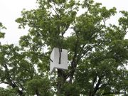 <p>Lang/Baumann, <em>Up #2</em>, 2015, wood, paint, 1.5 x 1.5 x 2.5 m, installation view, <em>Art en plein air,</em> M&ocirc;tiers, Switzerland</p>
