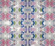 <p>王墒，<em>Ecbinacea purpurea</em>，2013-2016，布面油画，300 x 355 cm</p>
