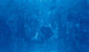<p>谢南星，<em isrender="true">第一顿鞭子 No. 3（又名浪 No. 3）</em>, 2008，布面油画，219 x 384 cm</p>
