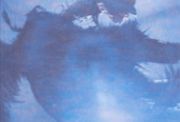 <p isrender="true">谢南星，<em isrender="true">无题 (No. 2)</em>，2004，布面油画，220 x 324 cm</p>
