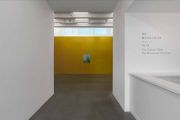 <p>Exhibition View, <em>The Summer Heat Has Been Gone For Years</em>, Galerie Urs Meile, Beijing, 28.08.- 24.10.2021</p>
