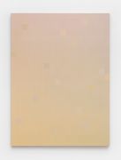 <p>张雪瑞，<em>432 202003</em>，2020，布面丙烯，240 x 180 cm</p>
